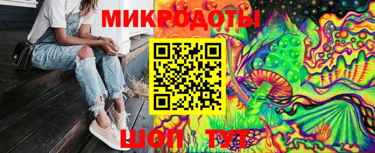 Галлюциногенные грибы Psilocybine cubensis Выборг