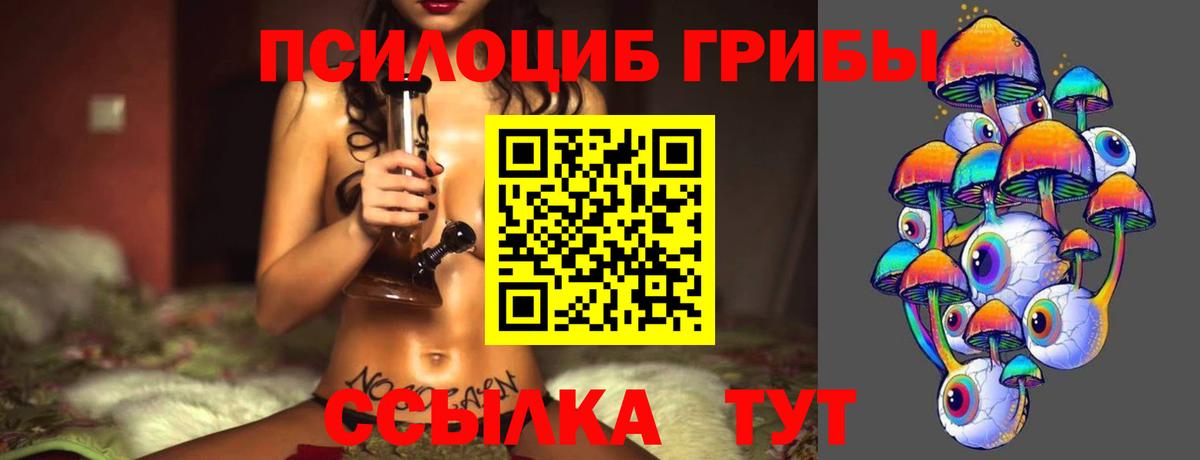 Галлюциногенные грибы Psilocybine cubensis  Вход с VPN  Псилоцибиновые грибы Cubensis  Выборг 